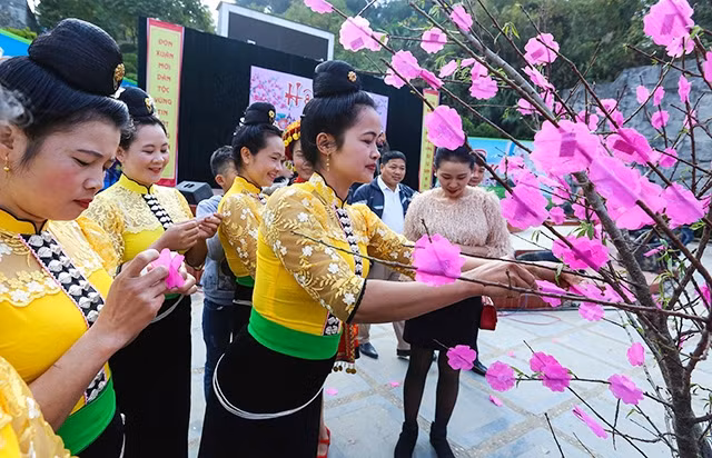Hái hoa dân chủ tại Hội Xuân Mậu Tuất 2018 tỉnh Điện Biên. Ảnh: XUÂN TƯ (TTXVN)