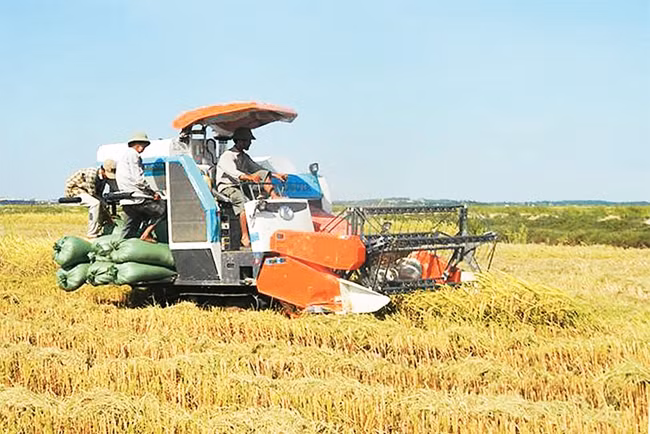 Quê hương phong trào "gió Đại Phong" năm xưa, đã thay đổi nhờ nỗ lực xây dựng nông thôn mới. Trong ảnh: Nông dân huyện Lệ Thủy (Quảng Bình) đẩy mạnh cơ giới hóa trong thu hoạch lúa Ảnh: NGUYỄN HIỀN