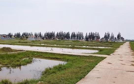 Lãnh đạo xã Đông Minh, Tiền Hải, tỉnh Thái Bình tự ý chuyển đổi trái thẩm quyền đất trồng lúa để xây dựng nghĩa trang 