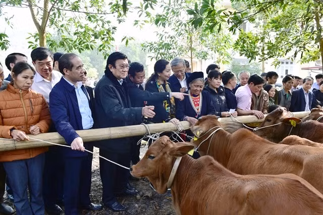 Đồng chí Trương Tấn Sang trao tặng bò giống cho các hộ nghèo, gia đình chính sách tại xã Lương Thiện, huyện Sơn Dương, tỉnh Tuyên Quang.