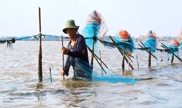Cư dân đánh bắt thủy sản trong đầm Thị Tường.
