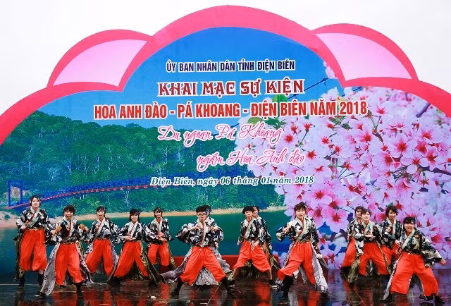 Khai mạc sự kiện hoa anh đào - Pá Khoang - Ðiện Biên