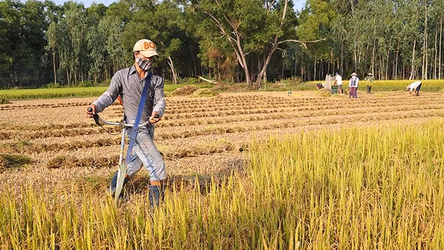 Sản xuất nông nghiệp vẫn chủ yếu nhỏ lẻ, manh mún. Ảnh: NG.ANH