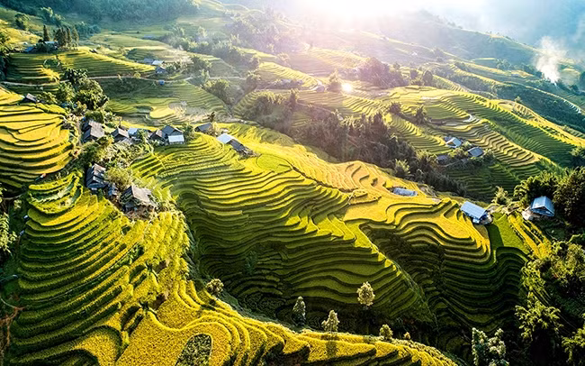 Ruộng bậc thang ở Sa Pa. Ảnh: NGỌC BẰNG
