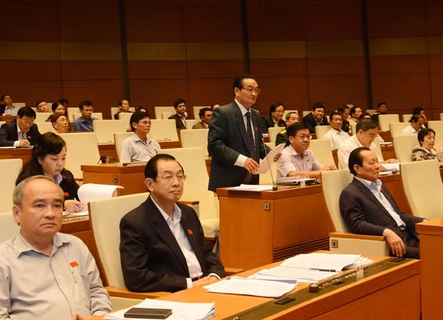 Đại biểu Quốc hội TP Hồ Chí Minh phát biểu ý kiến tại hội trường. Ảnh: DUY LINH