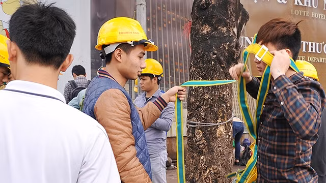 Người lao động phải có ý thức chấp hành các quy định về an toàn vệ sinh lao động. Ảnh: HẢI NGUYỄN