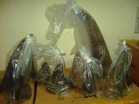 Sừng tê giác bị tịch thu trong một vụ vận chuyển trái phép.