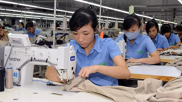 Doanh nghiệp Việt Nam cần chủ động áp dụng trước những tiêu chuẩn lao động theo Hiệp định CPTPP. Trong ảnh: Sản xuất áo khoác xuất khẩu tại Công ty MSA – YB, Khu Công nghiệp Long Bình An, Tỉnh Tuyên Q