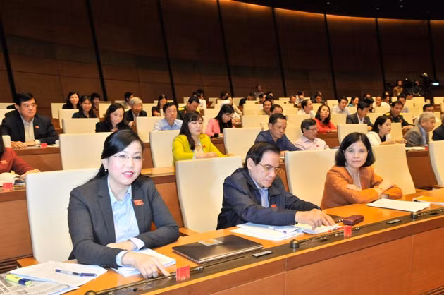 Các đại biểu tham gia biểu quyết.