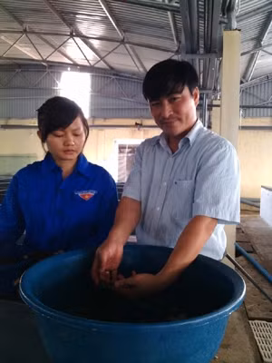 Anh Trương Văn Trị hướng dẫn kỹ thuật nhân giống cá vược nuôi trong môi trường nước ngọt.