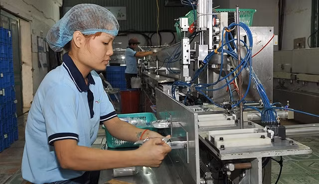 Nữ công nhân làm việc trong xưởng sản xuất bông tăm, ở huyện Ðông Anh (Hà Nội). Ảnh: Nguyễn Ðăng Khoa