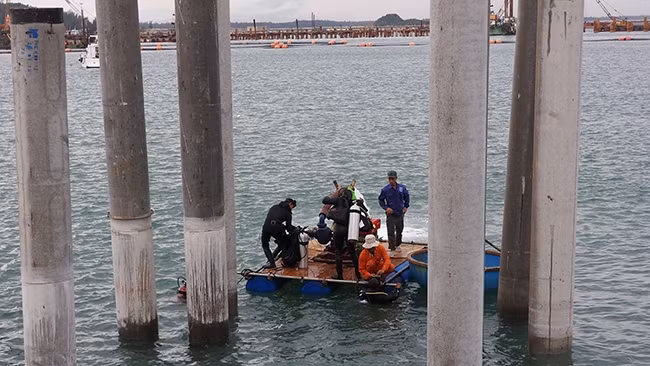 Thợ lặn khảo sát và đánh dấu vị trí con tàu và các cổ vật dưới đáy biển.
