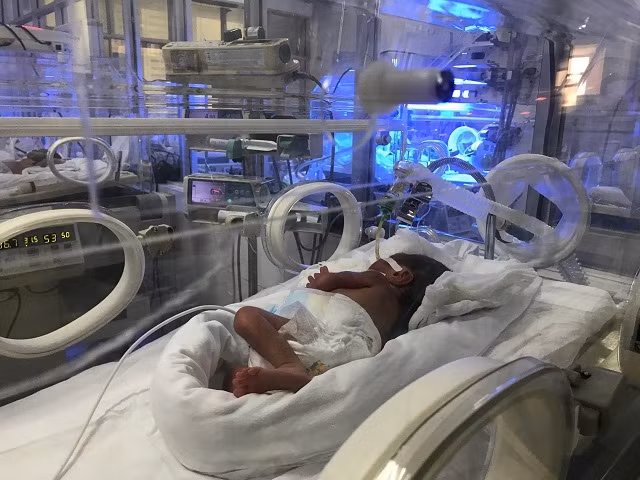 Bé Đỗ Bình An được nuôi trong lồng ấp tại Bệnh viện Phụ sản Trung ương.