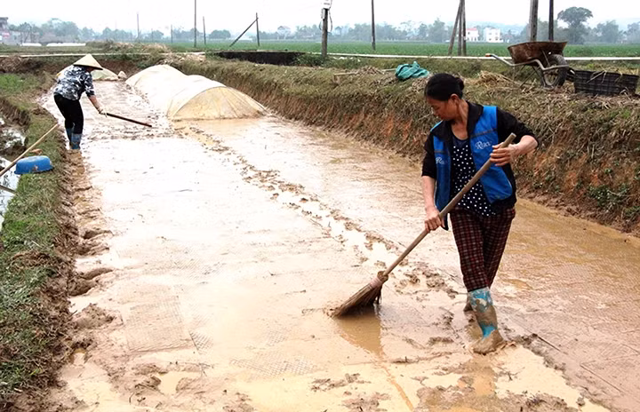 Nông dân xã Việt Lập (huyện Tân Yên, tỉnh Bắc Giang) sản xuất vụ đông xuân trên những diện tích đất đã có đủ lượng nước để canh tác. Ảnh: TRỊNH LAN