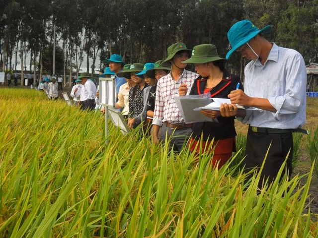 Mô hình chia sẻ kiến thức kinh doanh, mô hình làm ăn tốt thu hút sự quan tâm của nhiều người, nhất là nông dân đồng bằng sông Cửu Long. 