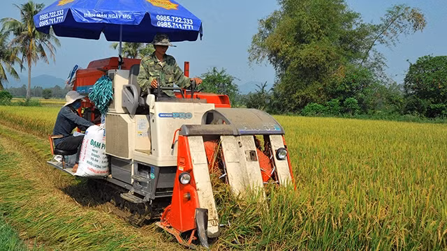 Vốn đầu tư ngành nông nghiệp mới thực hiện đạt 21%