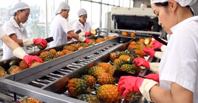 Nông nghiệp phục hồi và khởi sắc, nổi bật là xuất khẩu rau quả (đạt 3,2 tỷ USD, tăng 43,1%).