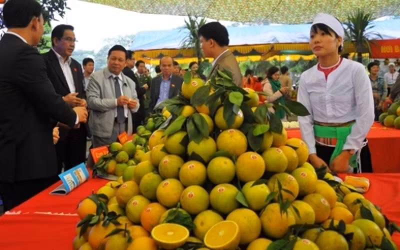 Lễ hội cây ăn quả có múi tỉnh Hòa Bình, Hội chợ nông nghiệp và sản phẩm OCOP khu vực phía bắc năm 2019 sẽ diễn ra từ ngày 1-11 đến 5-11 tại Trung tâm Hội chợ và Triển lãm tỉnh Hòa Bình.