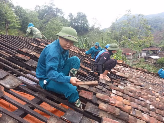 Lực lượng dân quân tự vệ, bộ đội giúp người dân xã Xuân La, huyện Pác Nặm lợp lại mái nhà. 