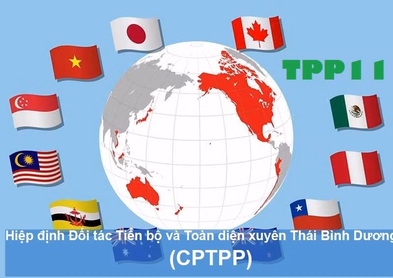 Hiệp định CPTPP hay còn gọi là TPP-11. 