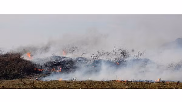 Bãi rác Đông Vĩnh cháy gây ảnh hưởng đến môi trường và sức khỏe người dân chung quanh.
