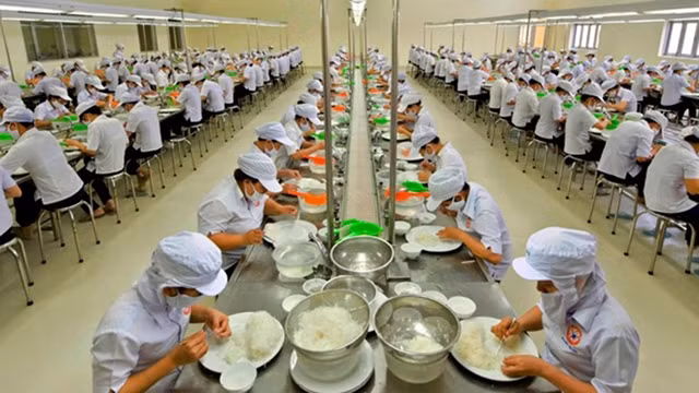 Chế biến nguyên liệu yến sào tại Công ty Yến sào Khánh Hòa. 
