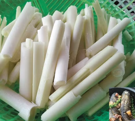 Rau bồn bồn.