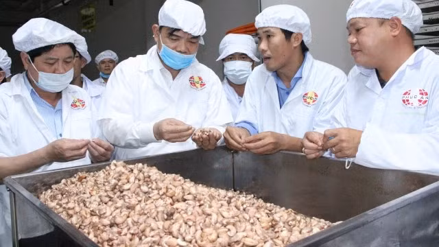Bộ trưởng Nguyễn Xuân Cường khảo sát dây chuyển sản xuất hạt điều tại Bình Phước.