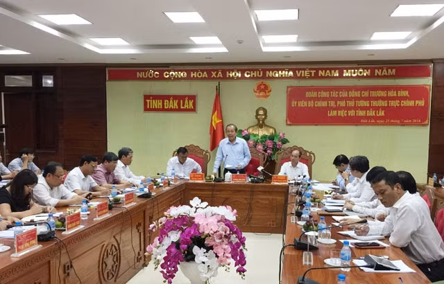 Phó Thủ tướng Thường trực Chính phủ Trương Hòa Bình phát biểu chỉ đạo tại buổi làm việc.