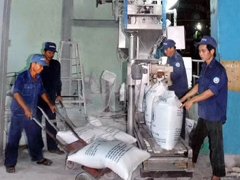 Giá thấp, lượng đường tồn kho nhiều đang gây khó khăn, áp lực đối với ngành mía đường. Ảnh: VĂN MIÊN