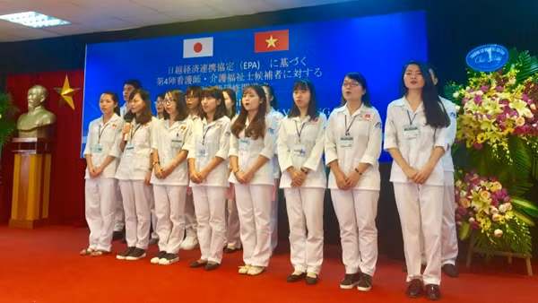 Ứng viên tham gia chương trình đào tạo điều dưỡng, hộ lý sang Nhật Bản (Ảnh minh họa:Dolab).