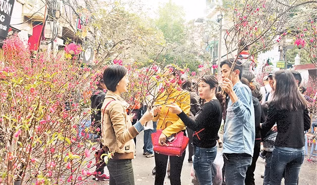 Chợ hoa Xuân truyền thống trên phố Hàng Lược, điểm đến ưa thích của người dân và du khách. Ảnh: DUY LINH
