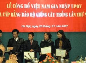 Bốn đơn vị nhận Bằng Bảo hộ giống cây trồng.