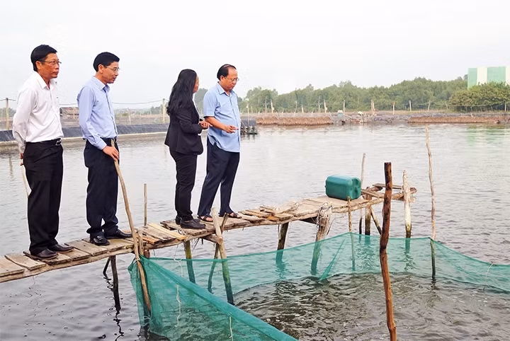 Lãnh đạo TP Hồ Chí Minh khảo sát mô hình nuôi thủy sản tại huyện Cần Giờ.