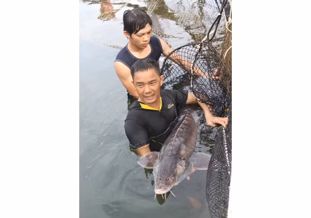 Nuôi cá lồng trên hồ thủy điện Sơn La.