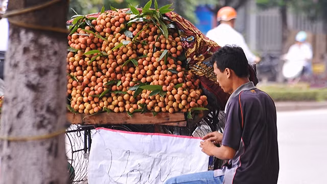 Nhiều người bán hàng không hề biết đề án cấm bán hoa quả rong.
