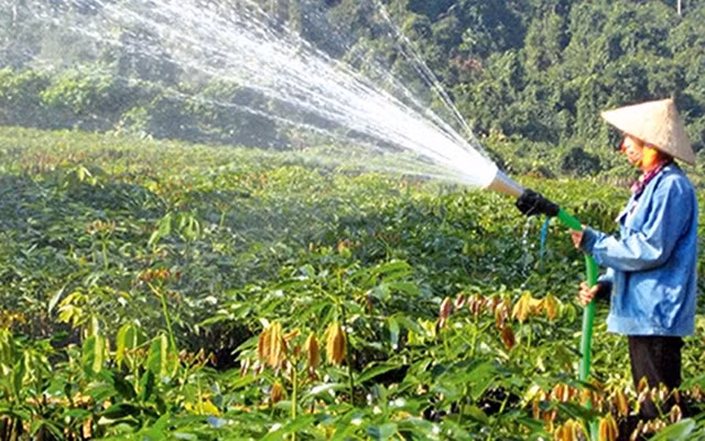  Công nhân Công ty TNHH một thành viên Cao-su Hương Khê - Hà Tĩnh (Tập đoàn Công nghiệp Cao-su Việt Nam) chăm sóc vườn ươm. Ảnh: Công Lâm