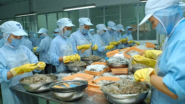 EU sang Việt Nam kiểm tra việc khắc phục “thẻ vàng”