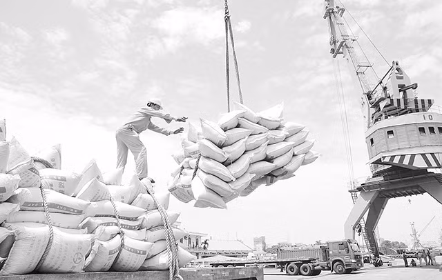 Bốc xếp hàng hóa xuất, nhập khẩu tại cảng Hải Phòng.