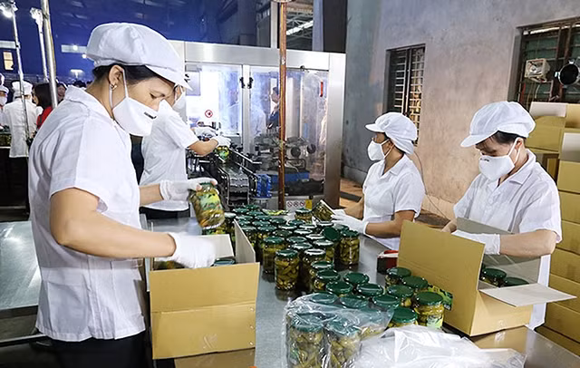 Dây chuyền sản xuất, chế biến nông sản của Công ty Hội Vũ tại cụm công nghiệp Cầu Giát (huyện Duy Tiên, tỉnh Hà Nam). Ảnh: ÐIỆN BIÊN