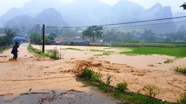 Đường từ thị trấn Tủa Chùa đi bản Cáp ngập sâu trong nước.