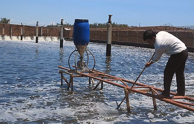 Khu nuôi tôm công nghệ cao của Công ty TNHH Nuôi trồng, chế biến thủy sản xanh ở xã Cát Hải (Phù Cát, Bình Ðịnh). Ảnh: PHẠM TIẾN SỸ