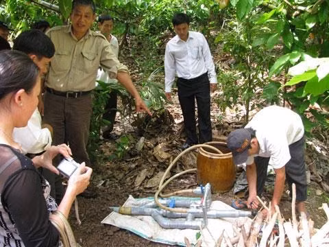Tiến sĩ Phạm Hồng Đức Phước (người chỉ tay) hướng dẫn thực hành hệ thống phun thuốc và bón phân qua tại một vườn ca cao 