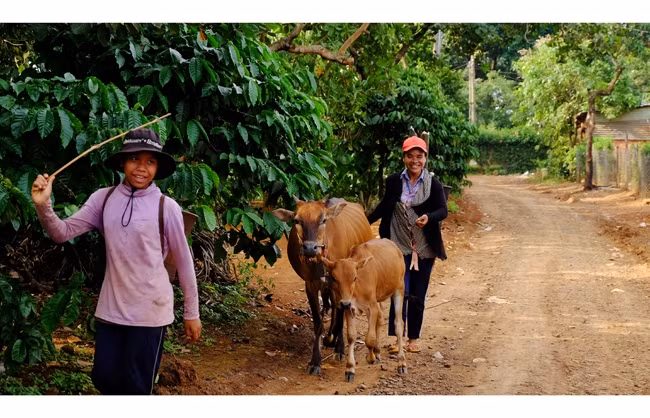 Hàng nghìn hộ dân của tỉnh Bình Phước được tiếp cận nguồn vốn chính sách để phát triển kinh tế gia đình.