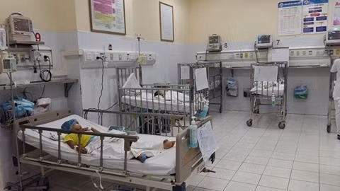 Chuyên gia y tế cảnh báo vào mùa viêm não Nhật Bản