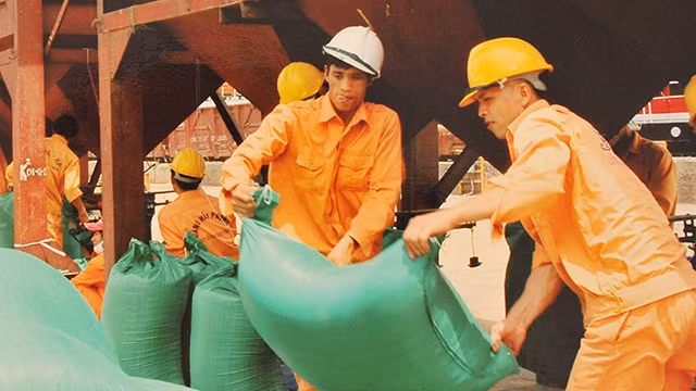 Quy định mới về điều kiện kinh doanh xuất khẩu gạo