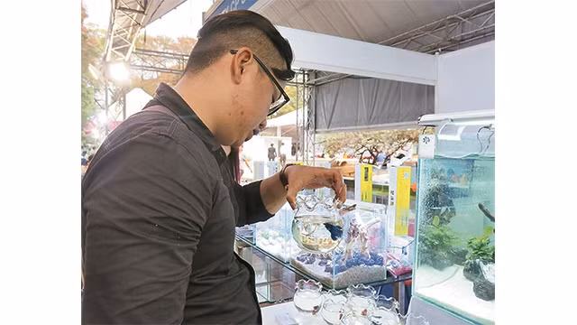 Khách tham quan Ngày hội cá cảnh TP Hồ Chí Minh lần 2-2017.