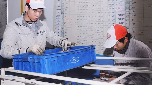 Khối DN trong nước chưa thật sự lớn mạnh. Ảnh: NGUYỄN ANH