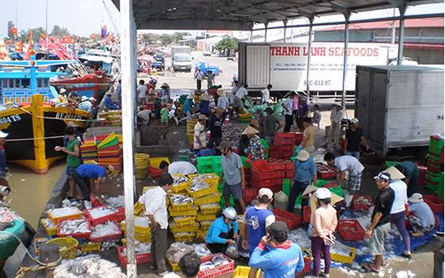 Ngư dân huyện Trà Cú, Trà Vinh bốc dỡ hải sản tại cảng cá Định An. Ảnh: THANH HUYỀN