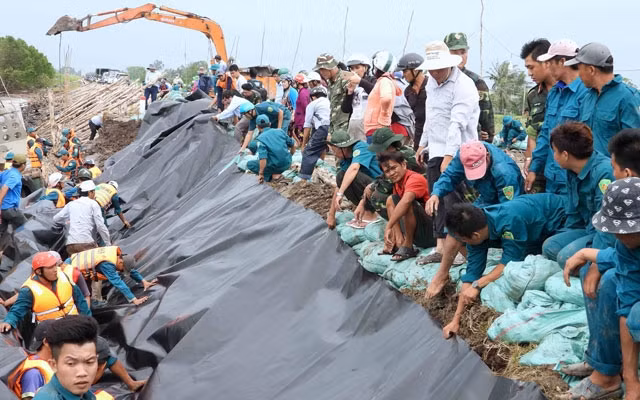 Cà Mau huy động lực lượng hùng hậu gia cố chân đê bị sạt lở, đoạn Đá Bạc - Kênh Mới.